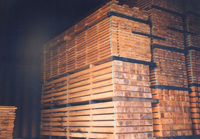 杜の家 スタンダード + 増築プラン