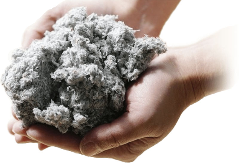 杜の家 スタンダード + 増築プラン