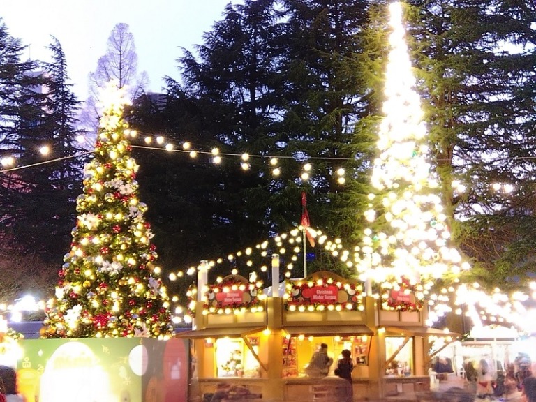 メインIMG_2025-12-09-16-36-36-720~3