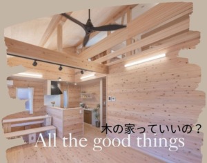 美しいだけじゃない！杉の秘密