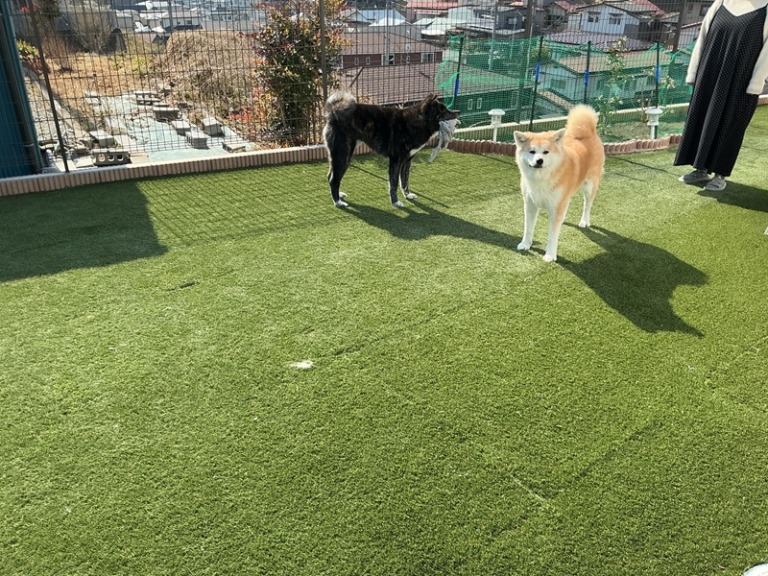 ①アイキャッチ