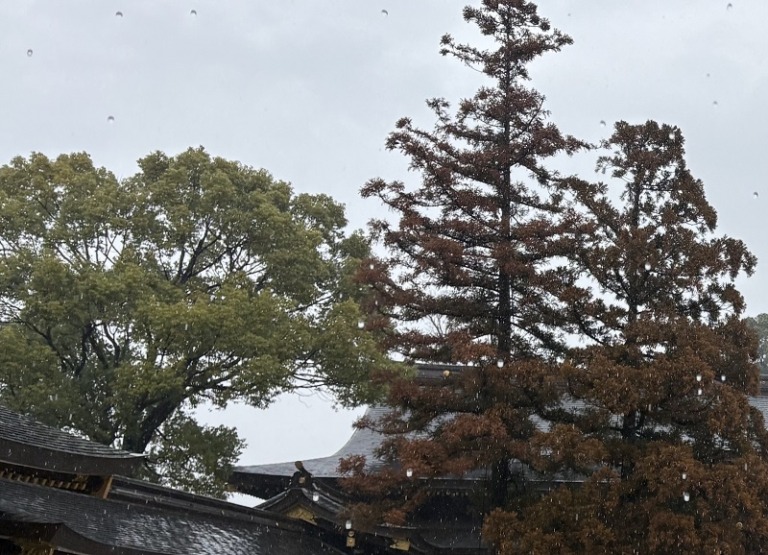 09DCB7E1-0395-40D0-842C-376BC71153A9