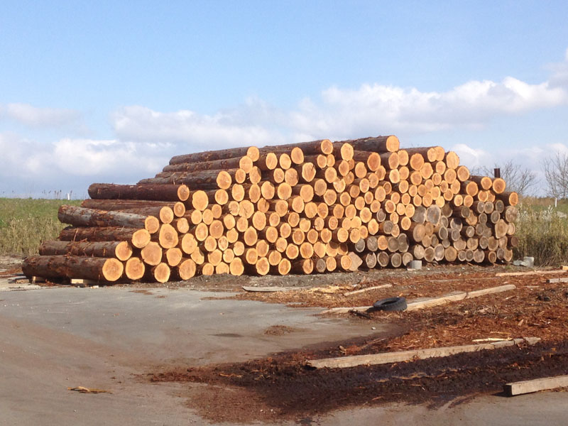 杜の家 スタンダード + 増築プラン