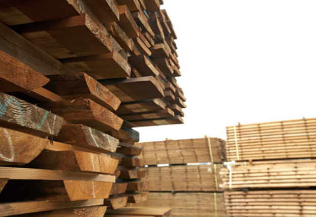 しんみんか スタンダード