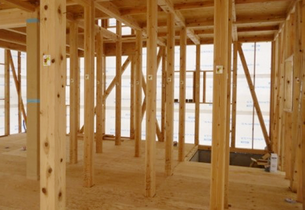 しんみんか スタンダード