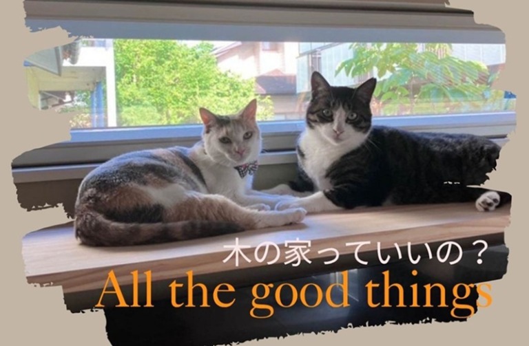 木の家っていいの？